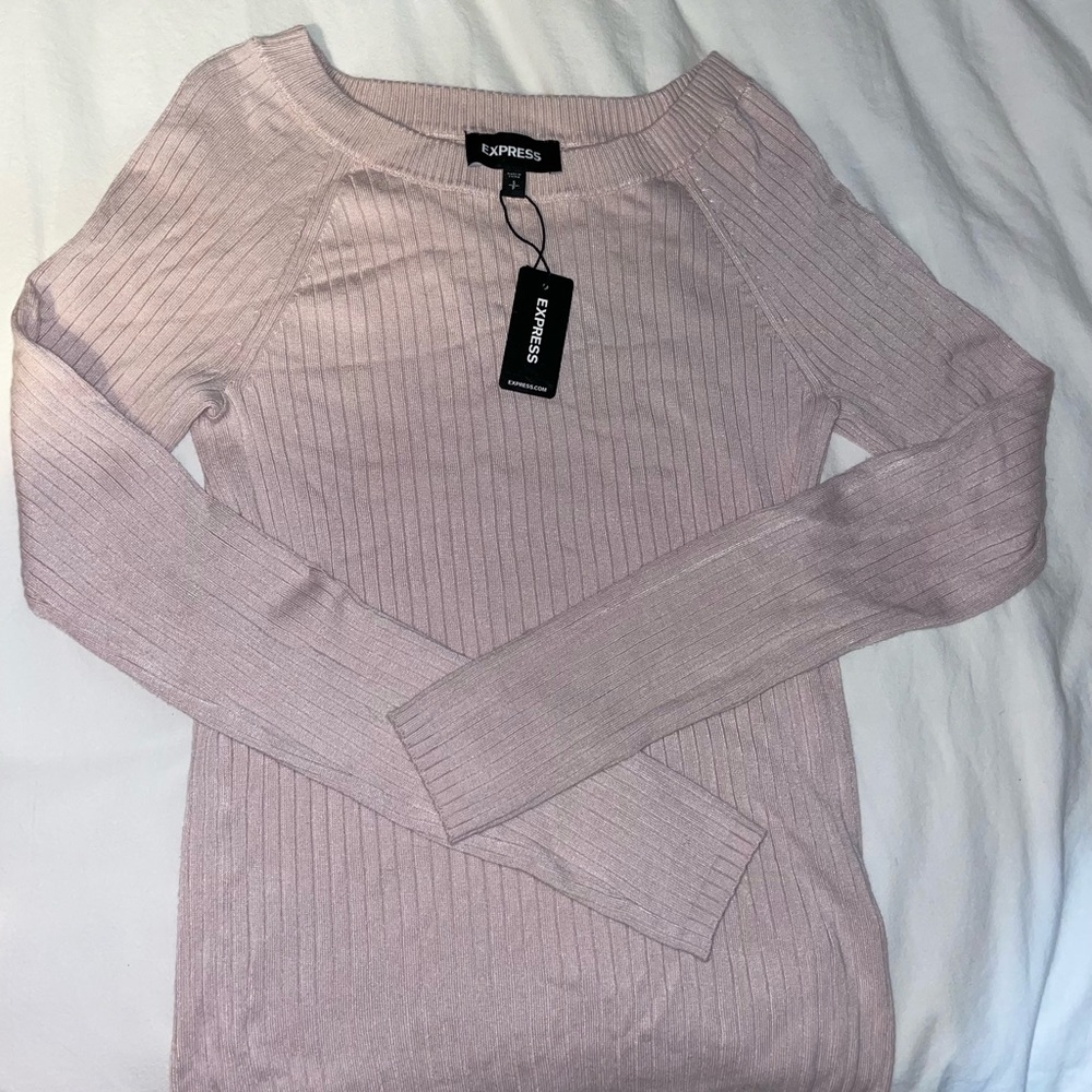 NWT Express Pink Long Sleeve Sweater